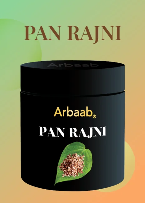 Pan Rajni